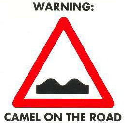 Camel On The Road.jpg